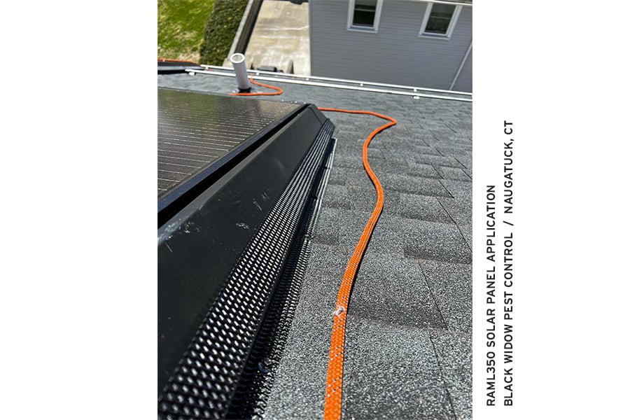 RAML350 Solar Panel Installation by Black Widow Pest Control