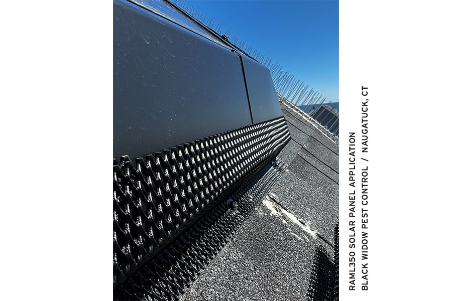 RAML350 Solar Panel Installation by Black Widow Pest Control
