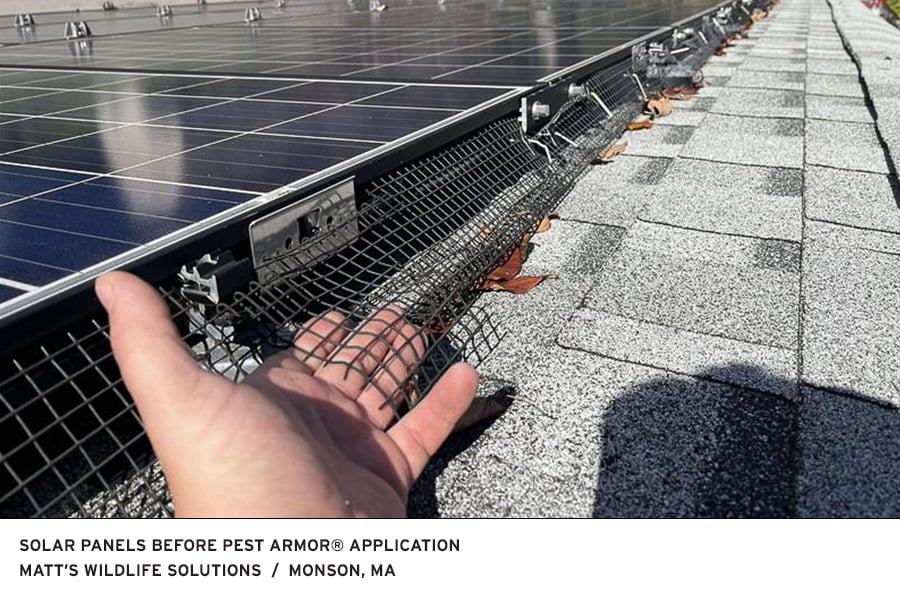 RAML350 Solar Panel Installation Image by Matts Wildlife Solutions