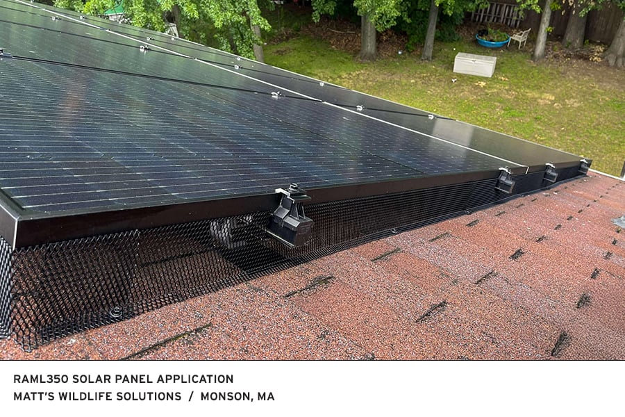 RAML350 Solar Panel Installation Image by Matts Wildlife Solutions