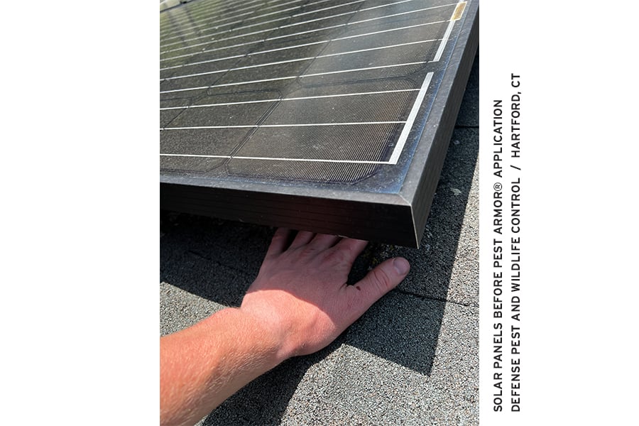 RAML550 Solar Panel Installation Image by Defense Pest and Wildlife Control