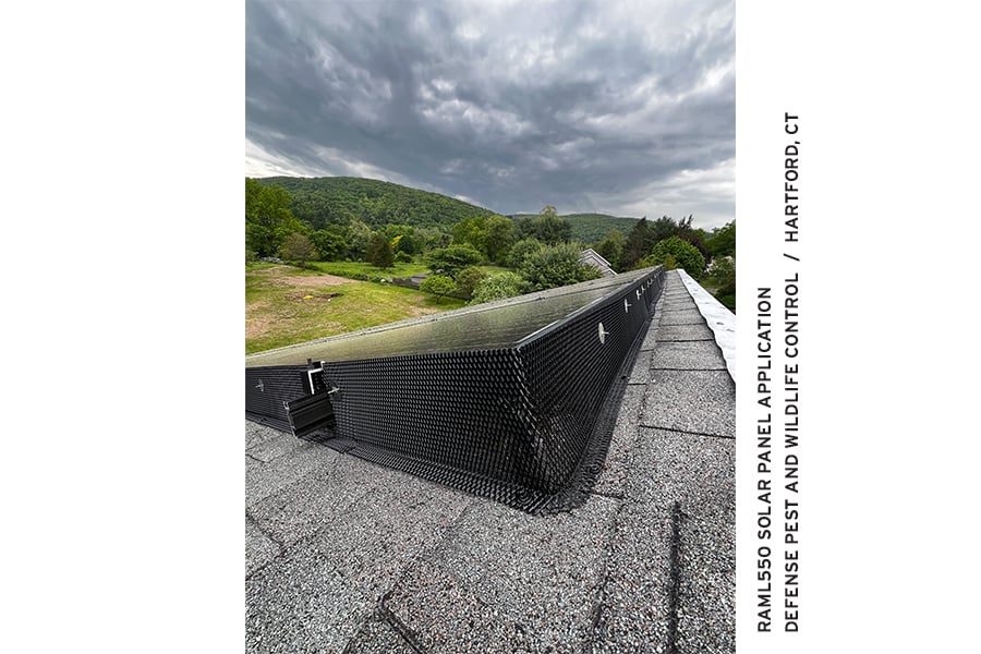 RAML550 Solar Panel Installation Image by Defense Pest and Wildlife Control